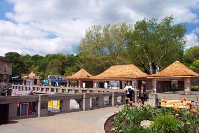 Maid of the Mist Plaza Construction