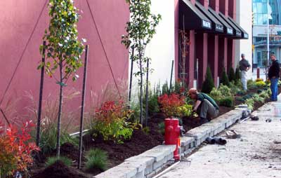 Garden at Wolfgang Puck Cafe Niagara