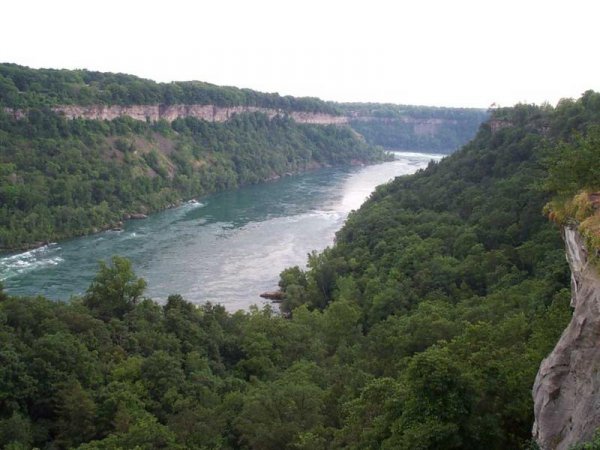 Niagara Glen Nature Area 04