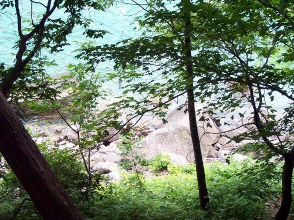 Niagara Glen Nature Area 12