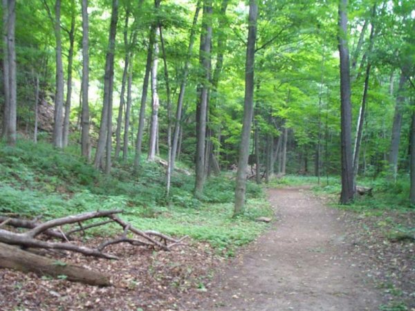 Niagara Glen Nature Area 21