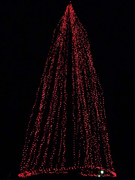 Winter Festival of Lights 2005/2006 10