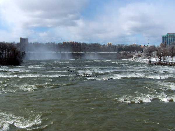New York State Park Winter 2005/2006 49