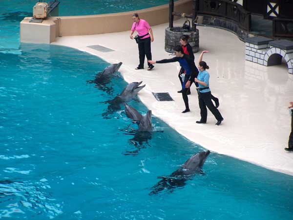 Marineland in Summer 2006 009