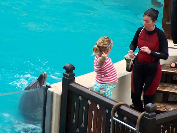 Marineland in Summer 2006 015