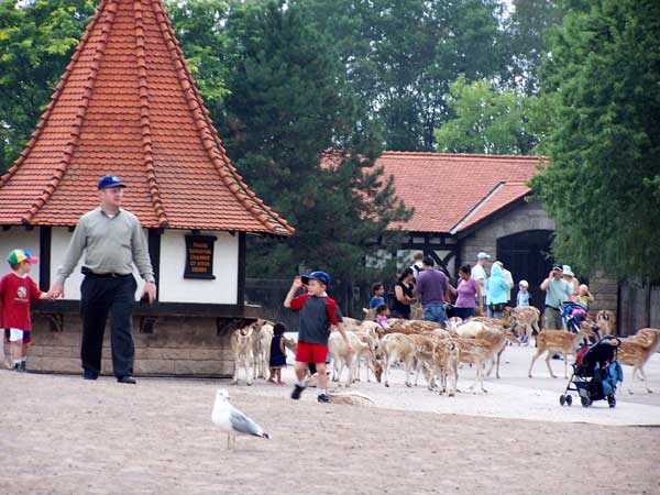 Marineland in Summer 2006 032