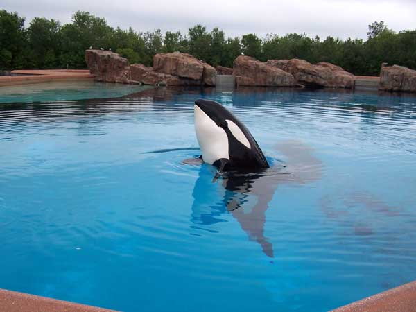 Marineland in Summer 2006 041