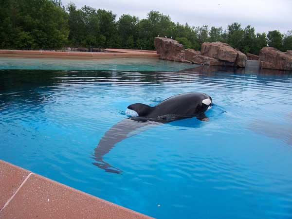 Marineland in Summer 2006 042