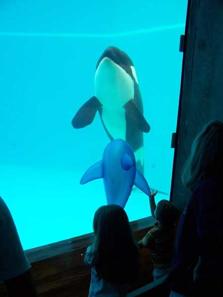Marineland in Summer 2006 068