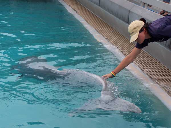 Marineland in Summer 2006 087