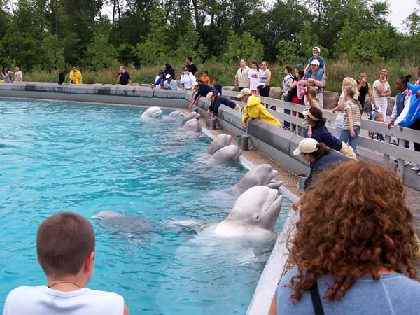 Marineland in Summer 2006 103