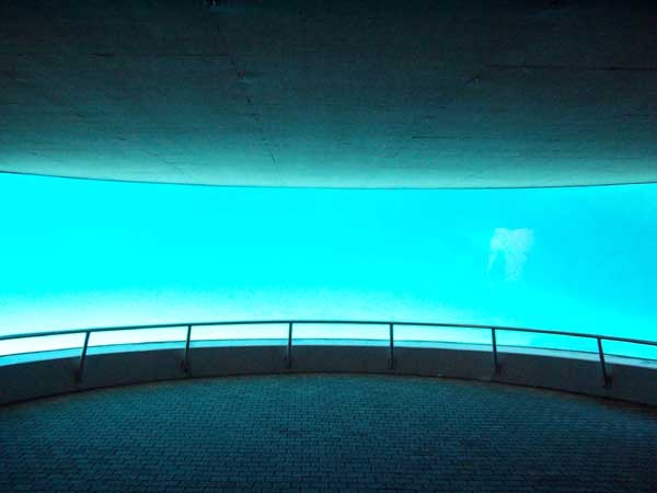 Marineland in Summer 2006 107