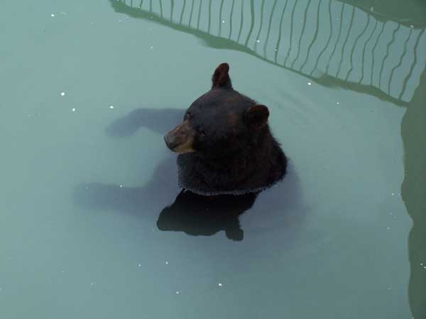 Marineland in Summer 2006 130