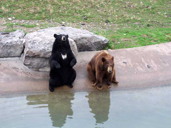 Marineland in Summer 2006 131