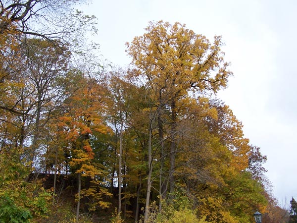 Niagara Falls in Autumn 2006 17