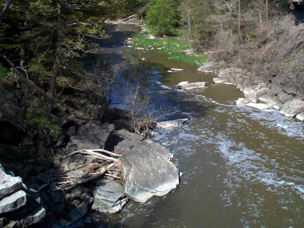 Upper Ball's Falls Spring 2003 - 13