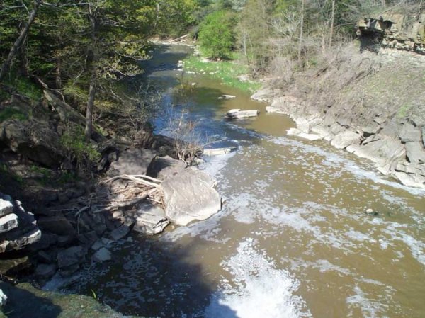 Upper Ball's Falls Spring 2003 - 20