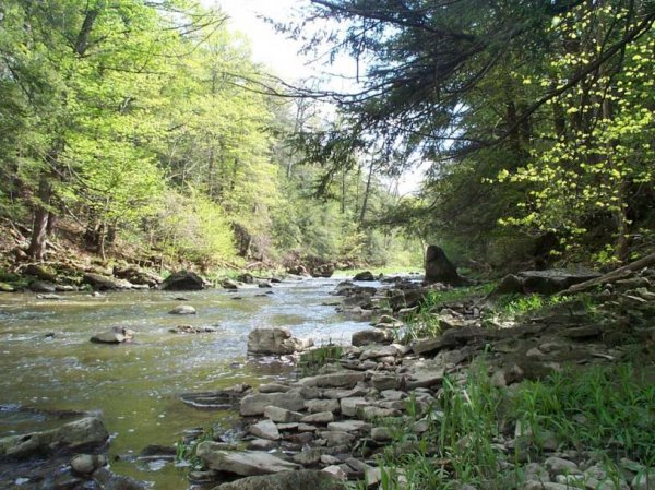 Upper Ball's Falls Spring 2003 - 31