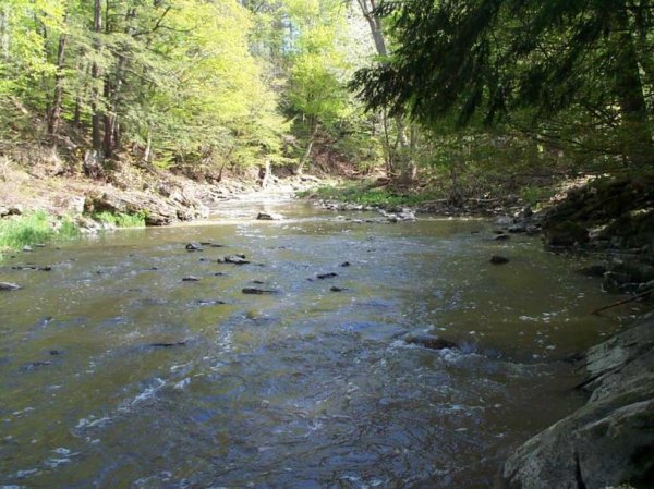 Upper Ball's Falls Spring 2003 - 36