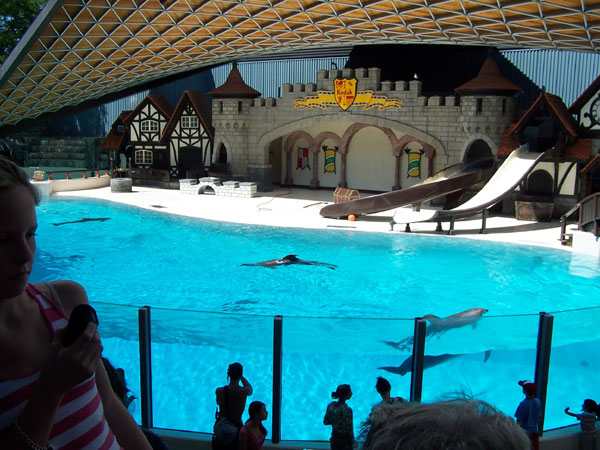 Marineland's King Waldorf Stadium in Summer 2007 08