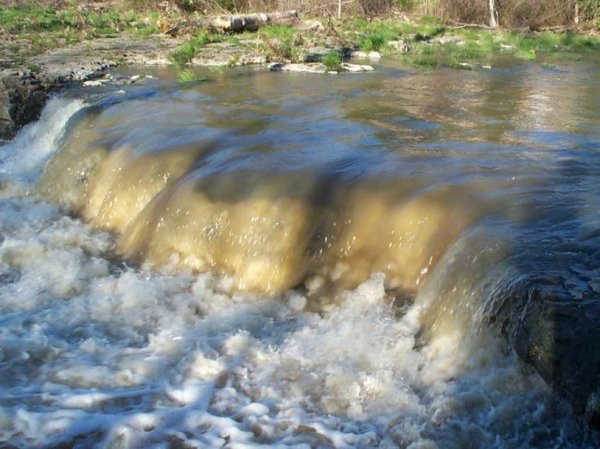 Lower Ball's Falls Spring 2003 - 14