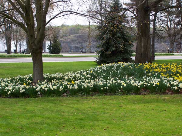 Niagara Falls in Spring 2008 20