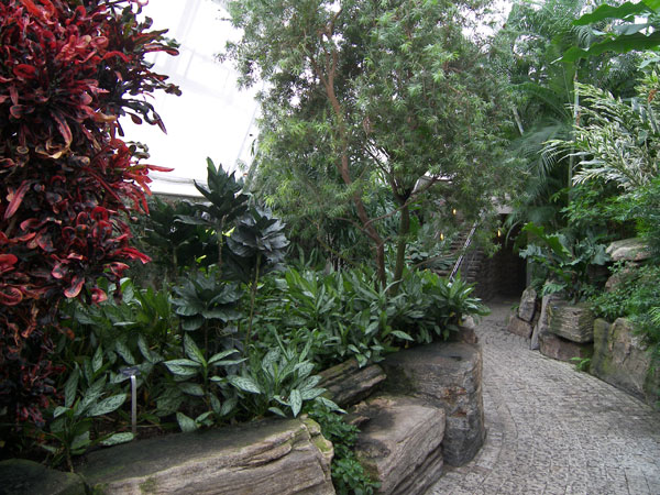 Butterfly Conservatory in Winter 2007 08