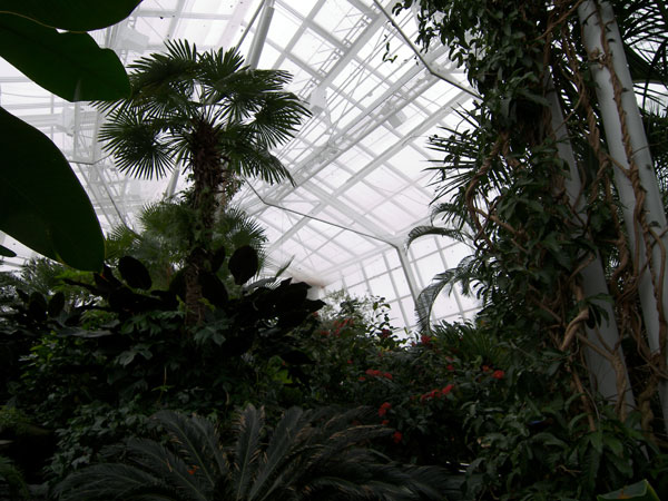 Butterfly Conservatory in Winter 2007 19