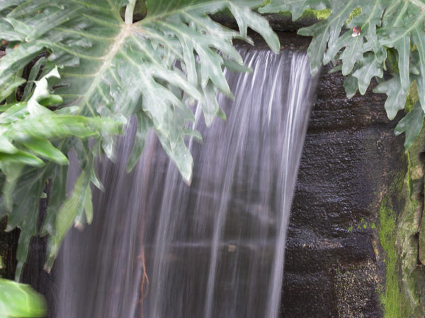 Butterfly Conservatory in Winter 2007 26