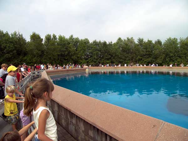 Marineland in Summer 2008 09