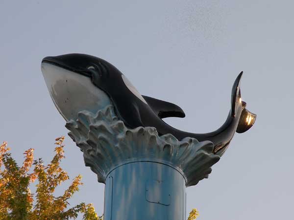 Marineland in Summer 2008 40