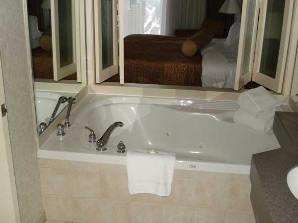 Hilton Niagara Falls Fallsview in January 2009 09