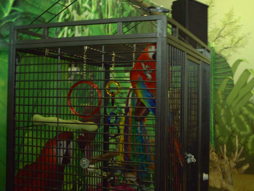 Bird Kingdom in Summer 2009 11