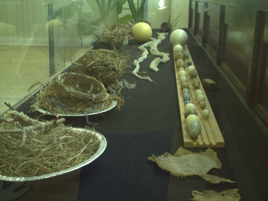 Bird Kingdom in Summer 2009 12