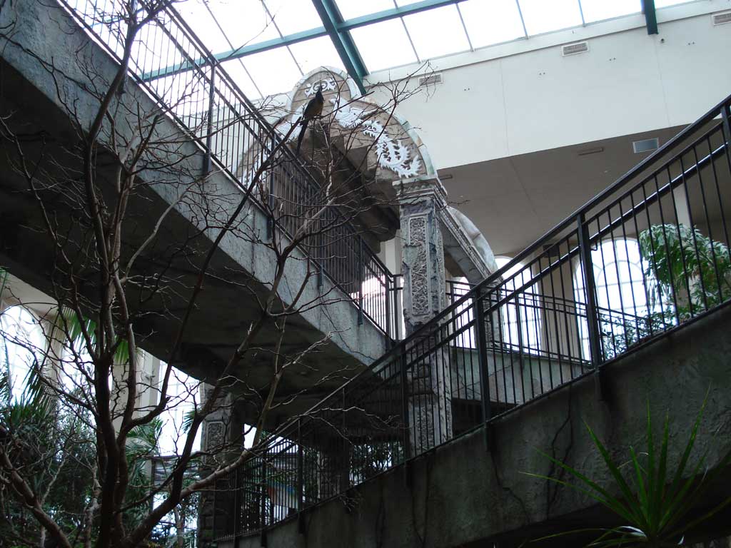 Bird Kingdom in Summer 2009 33
