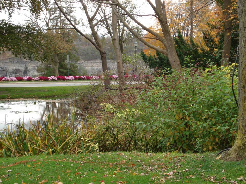 Niagara Falls in Autumn 2010 07