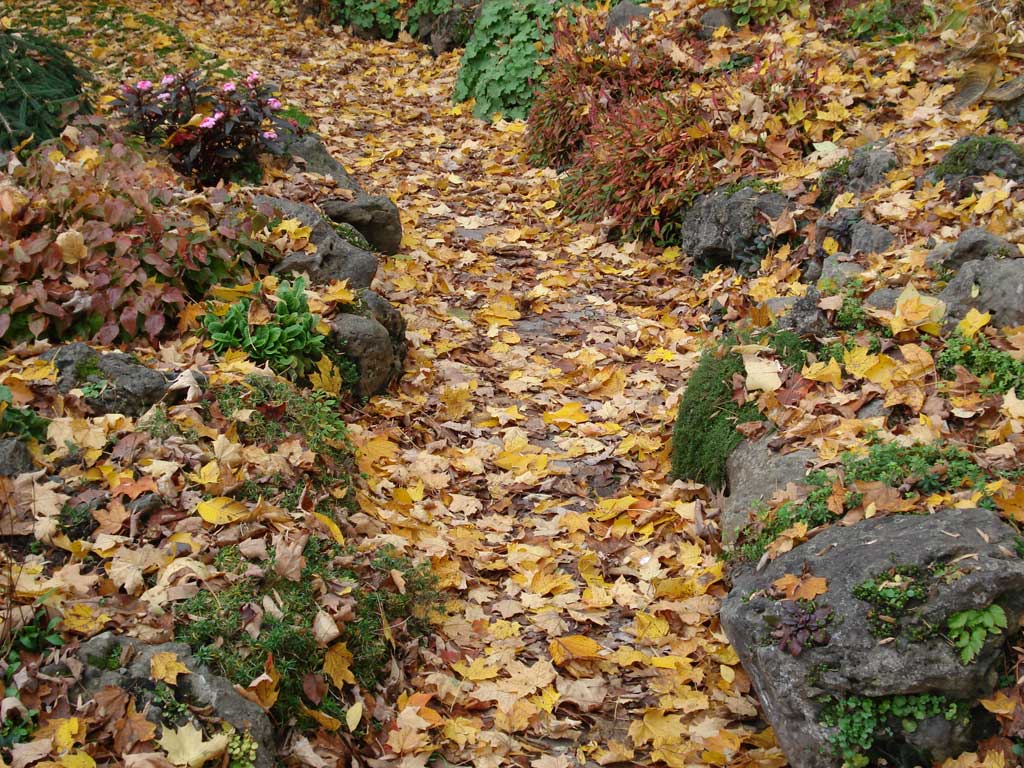 Niagara Falls in Autumn 2010 15