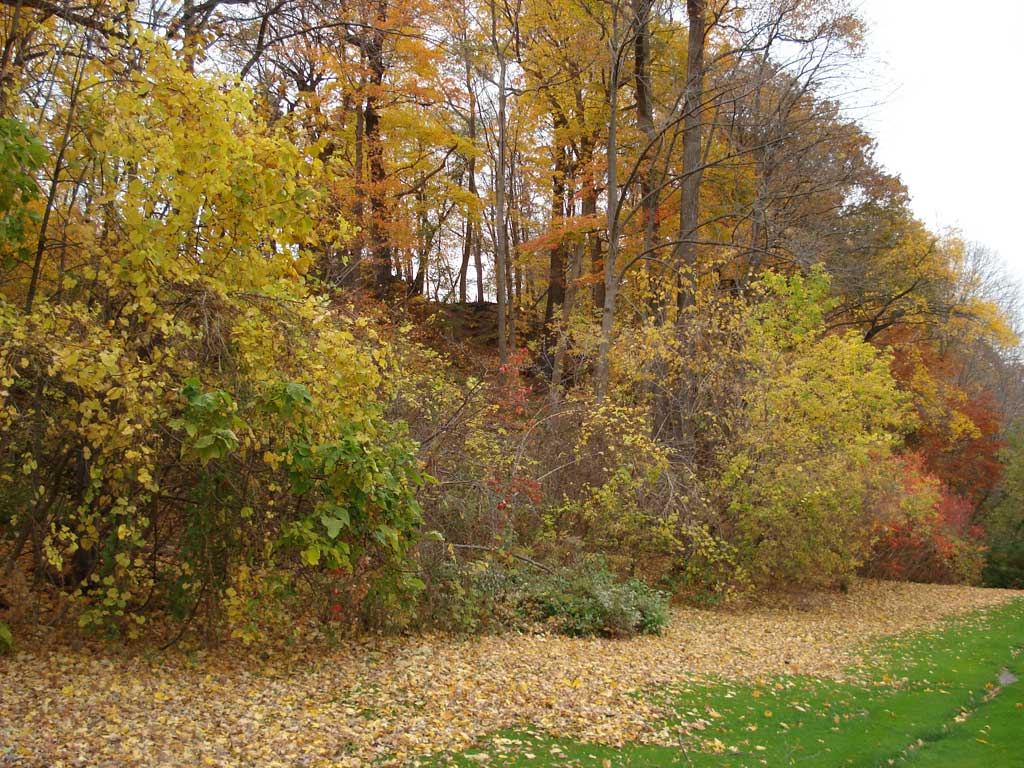 Niagara Falls in Autumn 2010 24