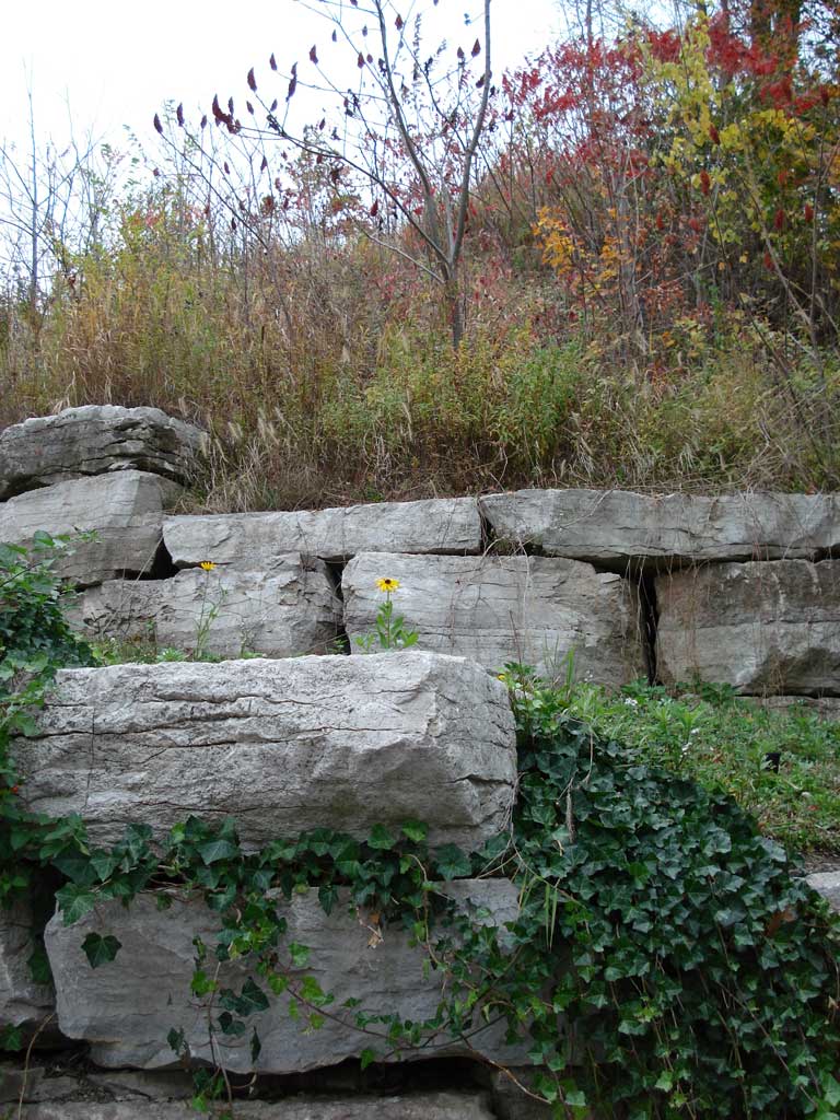 Niagara Falls in Autumn 2010 26