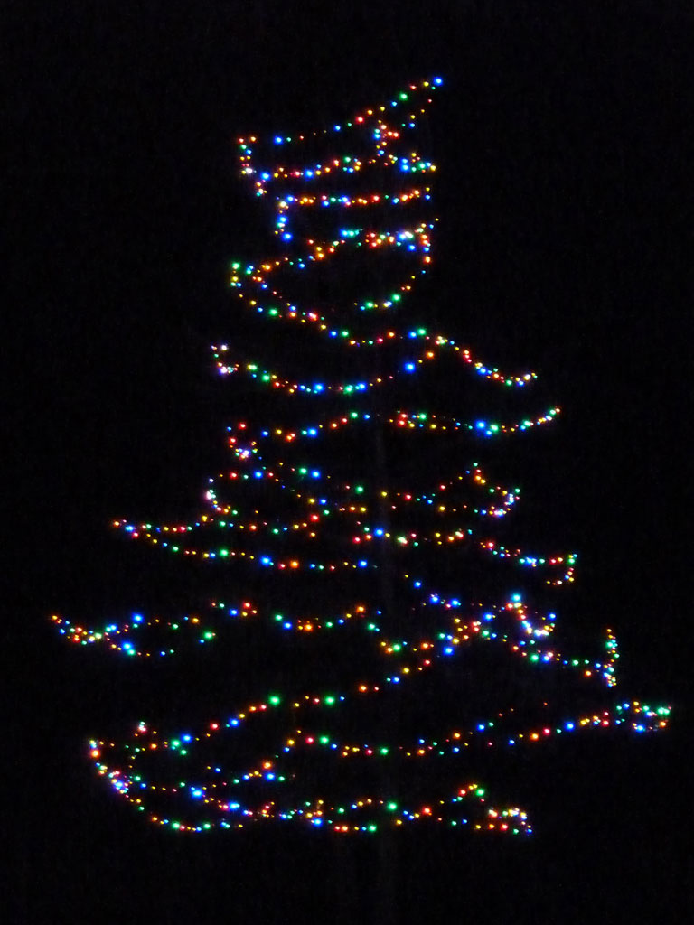 CAA Winter Festival of Lights in Winter 2011/2012 06