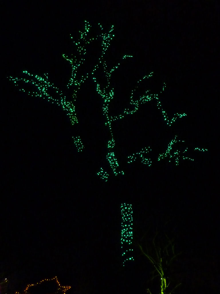 CAA Winter Festival of Lights in Winter 2011/2012 14