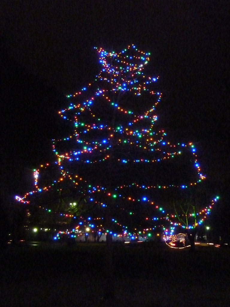 CAA Winter Festival of Lights in Winter 2011/2012 15