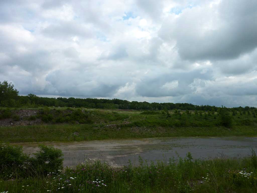 Marineland in June 2011 25