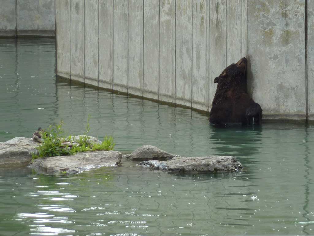 Marineland in June 2011 26