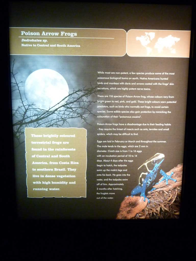 Trip to Bird Kingdom in August 2012 - 17