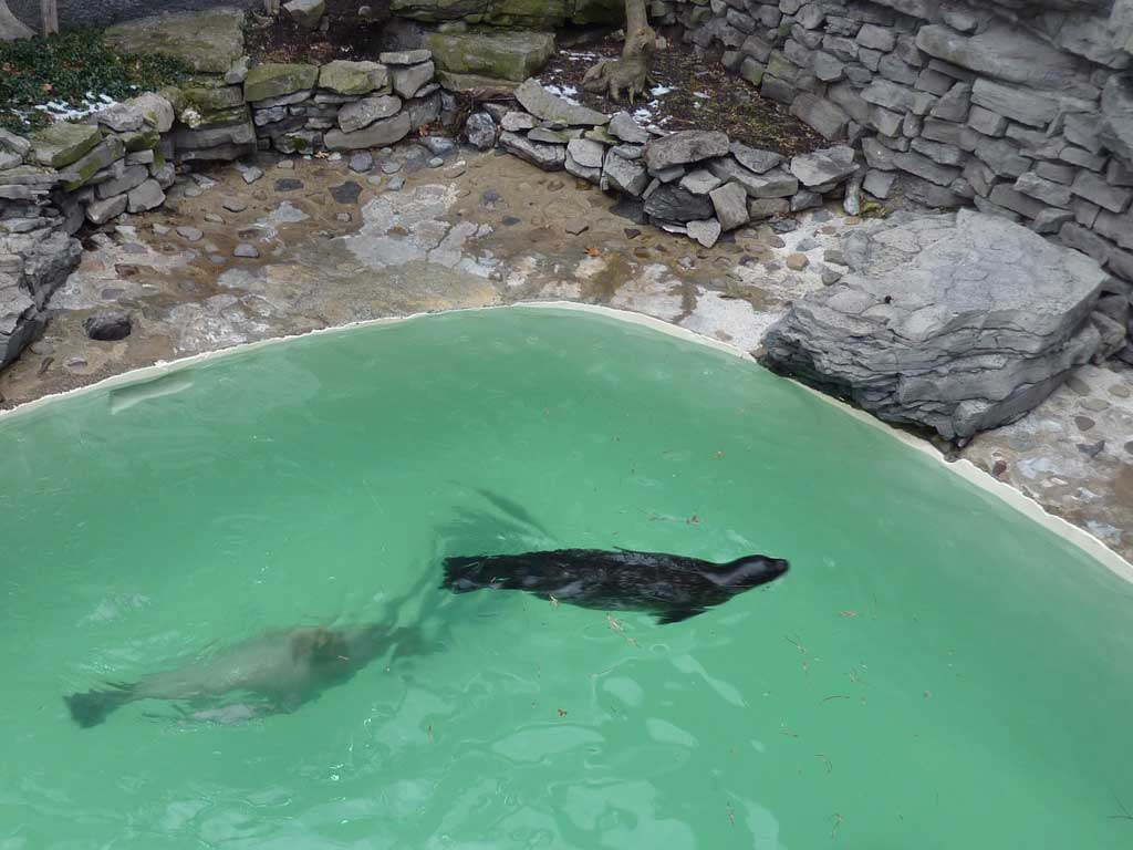 Aquarium of Niagara in Summer 2012 01