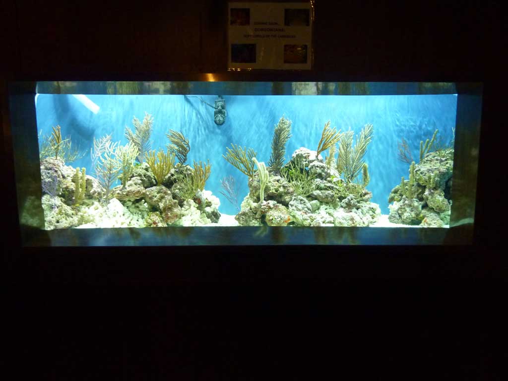Aquarium of Niagara in Summer 2012 07