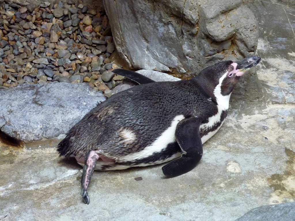 Aquarium of Niagara in Summer 2012 36