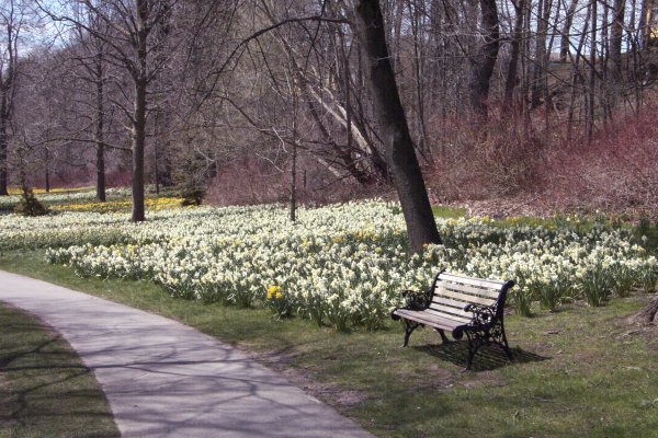 Along the Niagara Falls Parkway Spring 2004 - 05