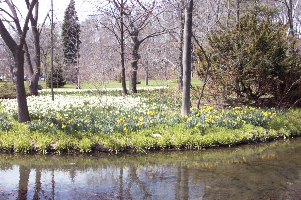 Along the Niagara Falls Parkway Spring 2004 - 18